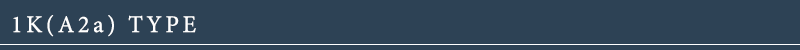 1K(A2a)タイプ