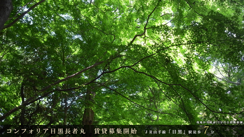 コンフォリア目黒長者丸